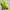 Nike Sportswear Cosplay Sneakers Pria green photo 1