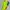 Nike Sportswear Cosplay Sneakers Pria green photo 2