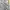 Vintage Casual pants Pria multicolor photo 3