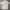 Lee Y2K Casual T-shirt Pria cream photo 1