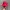 Sportswear Hat Pria red photo 1