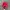 Sportswear Hat Pria Red