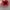 Sportswear Hat Pria red photo 4