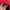 Sportswear Hat Pria red photo 5