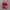 Sportswear Hat Pria red photo 2