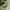 Japanese brand Streetwear Gorpcore Pria green photo 6