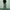 Japanese brand Streetwear Gorpcore Pria green photo 1