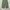Japanese brand Streetwear Gorpcore Pria green photo 7