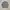 Y2K Minimalist Formal shirt Pria multicolor photo 4
