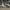 Adidas Casual Sneakers Pria white photo 1
