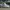 Adidas Casual Sneakers Pria white photo 2