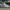 Adidas Casual Sneakers Pria White