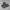 Loro Piana Minimalist Pria black photo 5