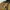 Harries Tweed Streetwear Casual Puffer jacket Pria tan photo 4