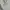 ZARA Streetwear Sweater Pria white photo 2