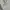 ZARA Streetwear Sweater Pria White
