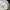 Muji Streetwear Minimalist Casual pants Pria black photo 6