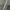 Nike Casual Hoody Pria gray photo 7