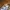 Uniqlo Streetwear Y2K Casual pants Pria tan cream photo 5
