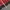 Nike Casual Hoody Pria red photo 8
