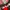 Vintage Streetwear T-shirt Pria red black photo 4