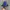 Sportswear Hat Pria blue photo 1