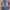 Red Pepper Vintage Jeans Pria navy blue photo 1