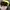 Chase Nascar Vintage Y2K Hat Pria black yellow photo 5