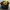 Chase Nascar Vintage Y2K Hat Pria black yellow photo 7