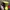 Chase Nascar Vintage Y2K Hat Pria Black Yellow