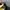 Chase Nascar Vintage Y2K Hat Pria black yellow photo 6
