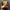 Chase Nascar Vintage Y2K Hat Pria black yellow photo 1