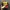 Chase Nascar Vintage Y2K Hat Pria Black Yellow