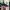 Streetwear Sportswear Sneakers Wanita multicolor photo 4