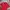 Uniqlo Minimalist Polo shirt Pria red photo 2