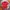 Uniqlo Minimalist Polo shirt Pria red photo 1