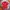 Uniqlo Minimalist Polo Shirt Pria Red