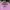 Kappa Vintage Streetwear T-shirt Wanita pink photo 5
