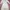 Luxury Nightgown Wanita white cream photo 3