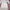 Luxury Nightgown Wanita white cream photo 2