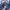 Jeep Casual Sweater Pria navy blue photo 4