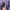 Grooverhyme Casual Sweater Pria purple photo 5