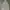 Y2K Skater Hoody Pria cream photo 1