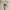 Adidas Streetwear Casual Casual shoe Pria white navy photo 6