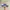 Adidas Streetwear Casual Casual shoe Pria white navy photo 3
