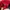 Dickies Streetwear Avant Garde Sweater Pria red photo 5