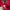 Dickies Streetwear Avant Garde Sweater Pria red photo 4