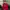 Dickies Streetwear Avant Garde Sweater Pria Red