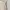Prada Vintage Evening dress Wanita tan photo 3