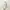 ZARA Casual Shirt dress Wanita white blue photo 4